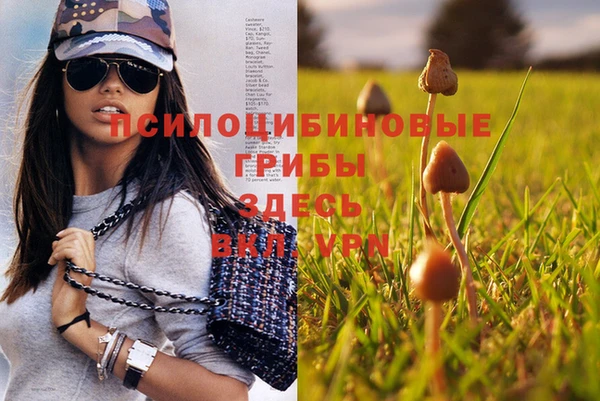 твердый Балабаново