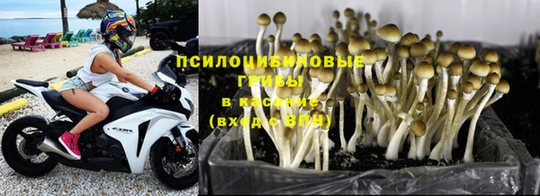 твердый Балабаново